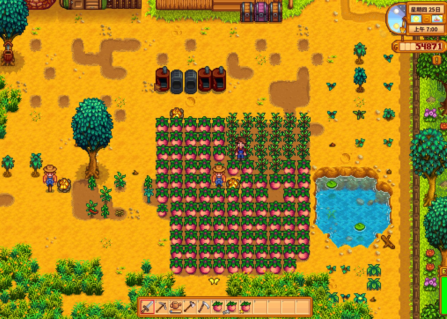 上古卷轴5：天际 完整版 截图10