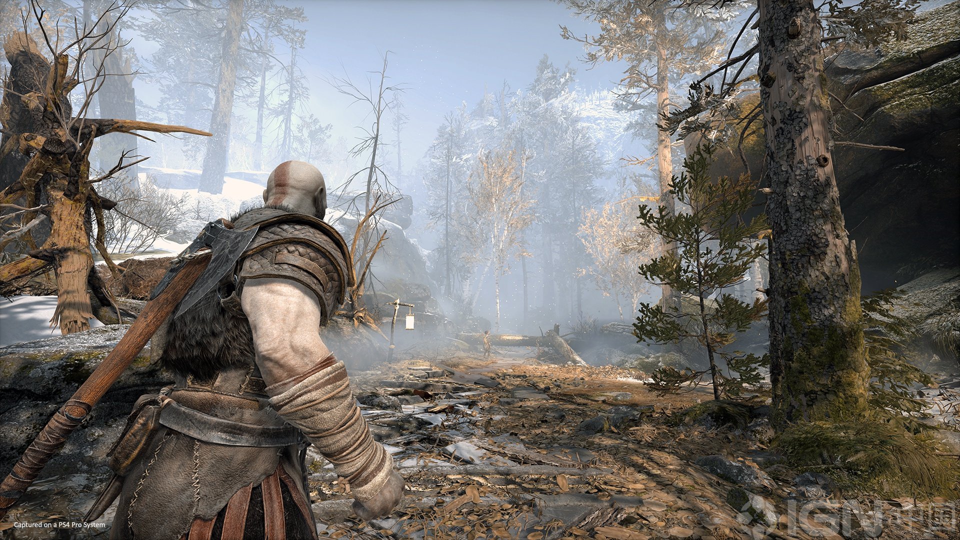 怪物猎人：世界 豪华版 截图7